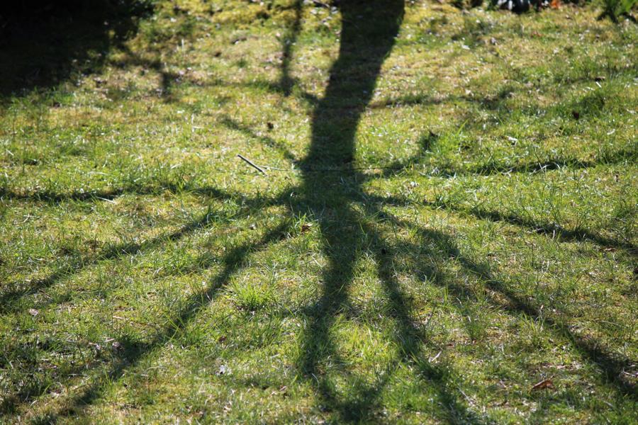 Eine Wiese mit dem Schattenspiel eines Baumes<br />
